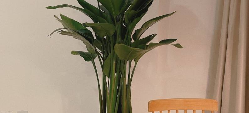 金铃公寓(北站二路分店)图片