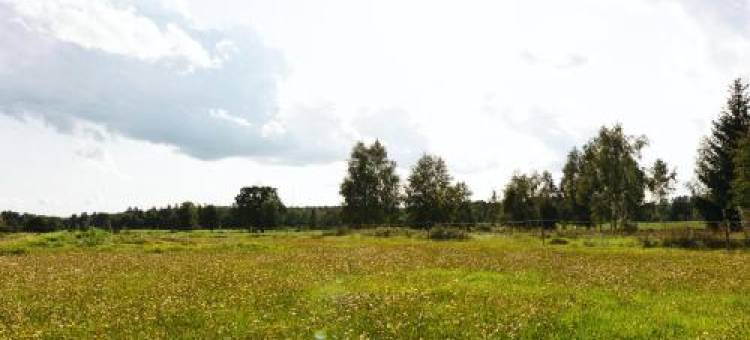 Glamping in Småland图片