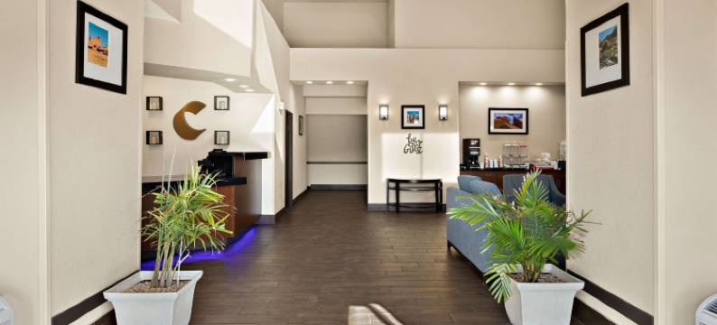 拉斯克鲁塞斯综合康福特套房套房(Comfort Suites University)图片