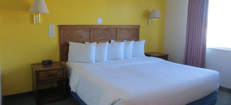 阿拉莫萨戴斯酒店(Days Inn by Wyndham Alamosa)图片