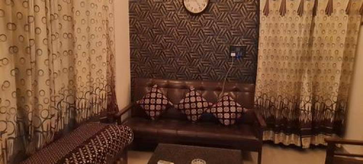 THE NEST - Aura图片