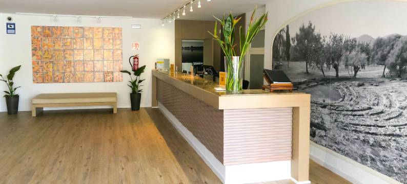 艾克斯阿尔库迪亚酒店-限成人(Eix Alcudia Hotel Adults Only)图片