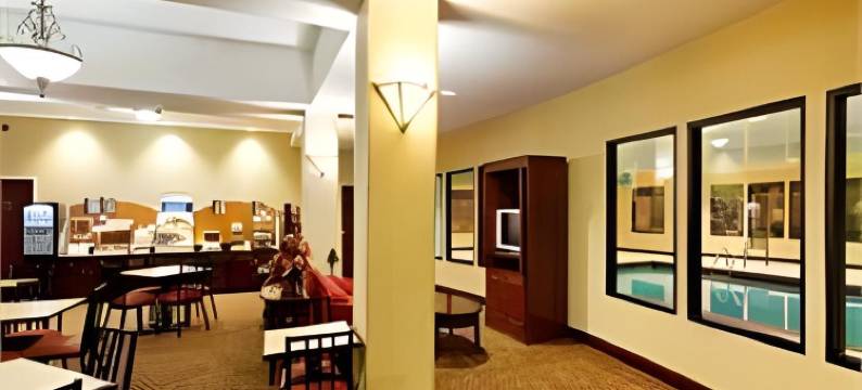 锡拉科加洲际智选假日套房酒店(Holiday Inn Express & Suites Sylacauga by IHG)图片