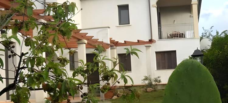 多莫米娜努米里乌(Domo Minnannu Miriu)图片