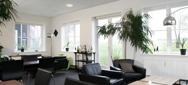 只睡觉奥克塞布罗韦伊(OnlySleep Oksebrovej)图片