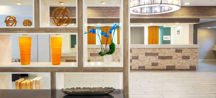 奥兰多会议中心Residence Inn 酒店(Residence Inn Orlando Convention Center)图片