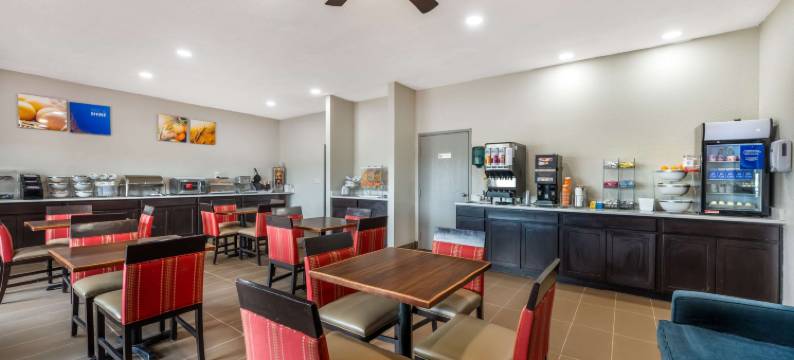 奥马哈东-康瑟尔崖舒适套房酒店(Comfort Suites Omaha East-Council Bluffs)图片