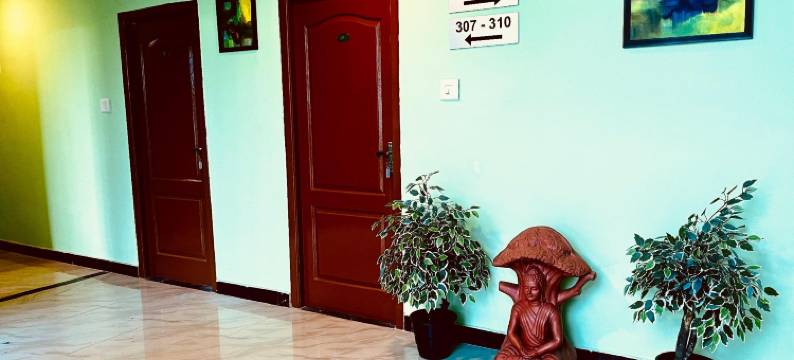 Hotel Star City图片