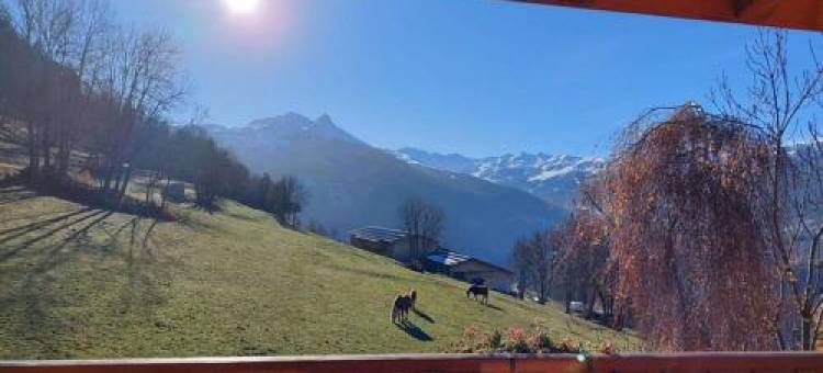 Appart Duplex Chalet Plein Sud图片