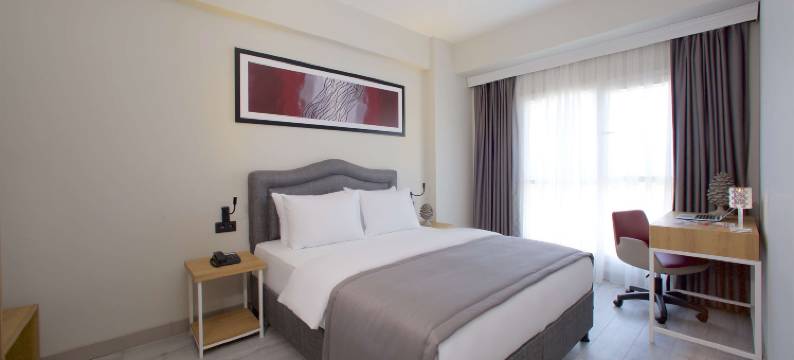 Best Western Plus Hotel & Residences Istanbul图片