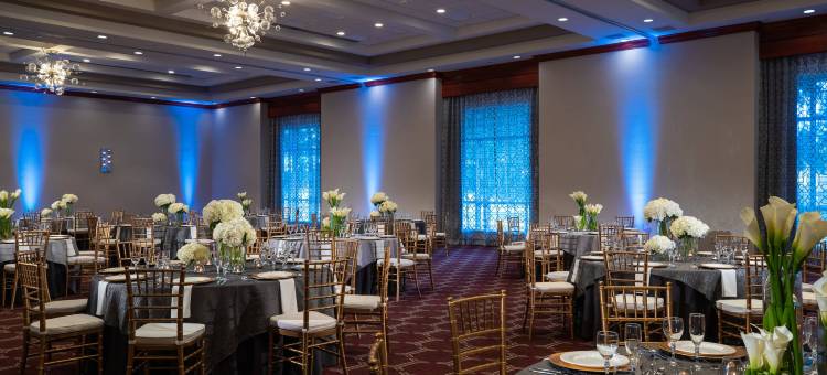 达拉斯理查森万丽酒店(Renaissance Dallas Richardson Hotel)图片