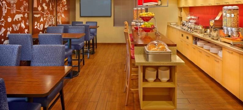 劳德代尔堡韦斯顿万豪TownePlace Suites酒店(TownePlace Suites Fort Lauderdale Weston)图片