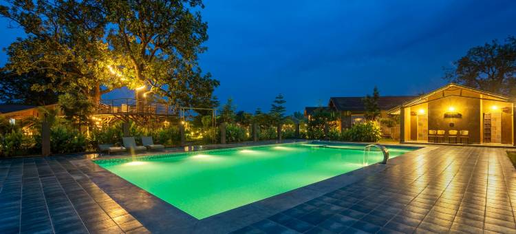 斯特林东方森林彭奇(Sterling Orient Woods Pench)图片