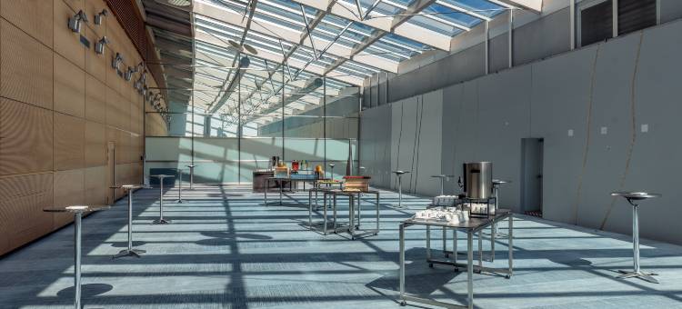 希尔顿日内瓦会议中心酒店(Hilton Geneva Hotel and Conference Centre)图片