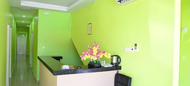 迪纳酒店(Deena Hotel)图片