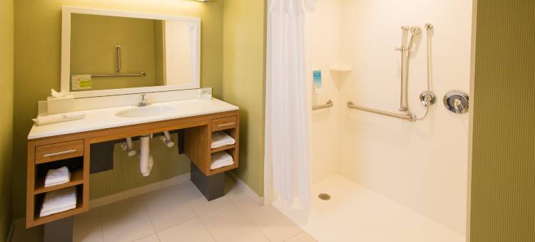 亚特兰大纽南希尔顿惠庭酒店(Home2 Suites by Hilton Atlanta Newnan)图片