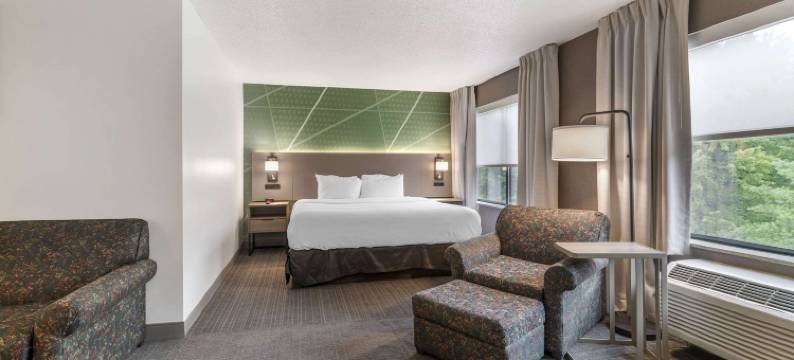 舒适酒店及套房乔治湖(Comfort Inn & Suites Lake George)图片