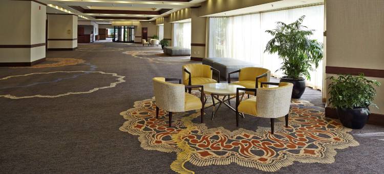 罗利北山希尔顿酒店(Hilton Raleigh North Hills)图片