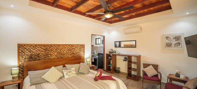 布埃纳维斯塔民宿 - 限成人(Hotel Casa Buenavista - Adults Only)图片