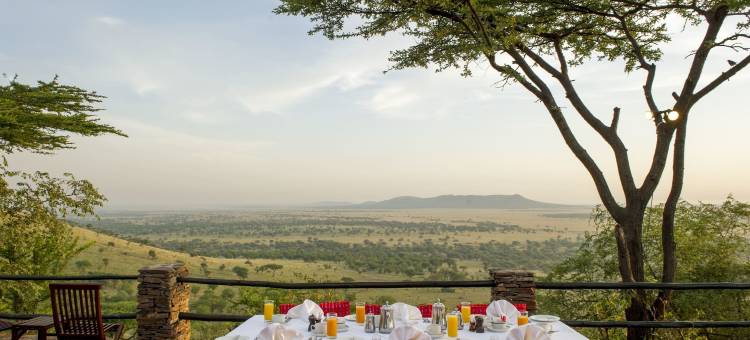 塞蕾娜塞伦盖蒂野生动物园小屋(Serengeti Serena Safari Lodge)图片