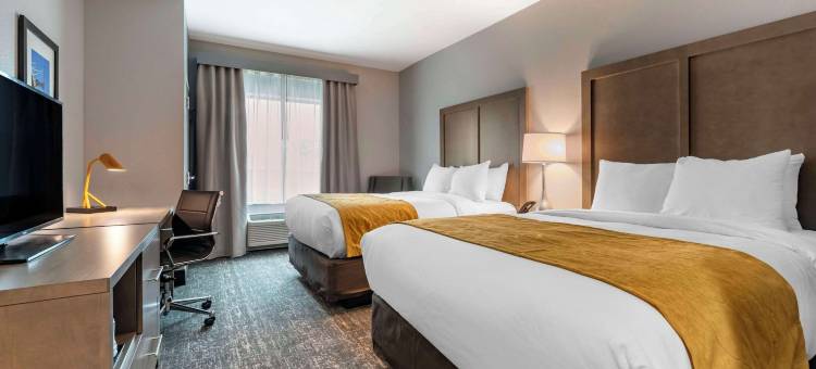 舒适酒店和套房 - 杰克逊维尔橙园靠近海军航空站(Comfort Inn & Suites Jacksonville - Orange Park Near Naval Air Station)图片