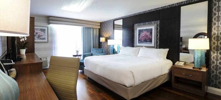 Holiday Inn 尼亚加拉瀑布 - 由瀑布(Holiday Inn Niagara Falls - by the Falls)图片