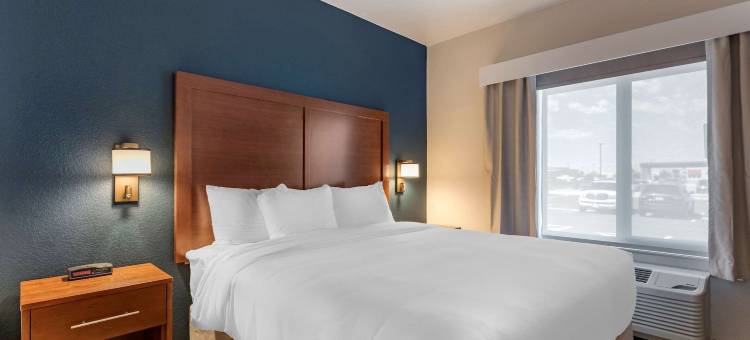 舒适套房酒店(Comfort Inn & Suites Bennett)图片