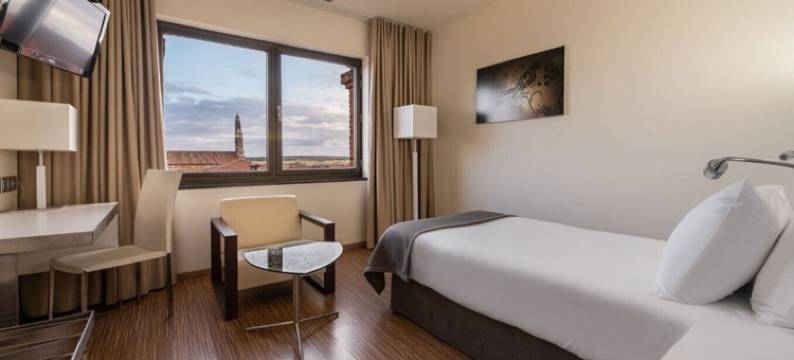 白银之路SPA酒店(Eurostars Vía de la Plata)图片