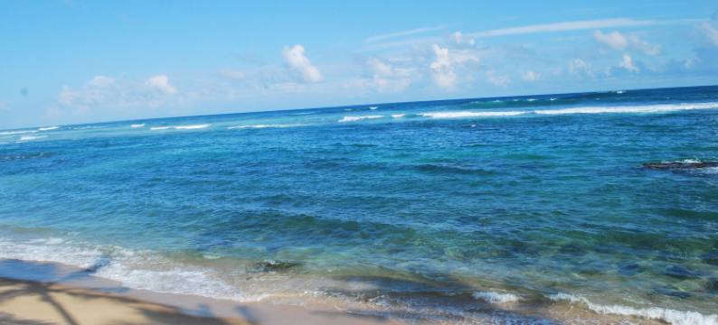 海滨度假屋(Beach House)图片