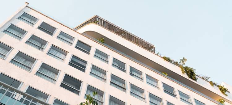 墨西哥城蒙德里安康德萨酒店(Mondrian Mexico City Condesa)图片
