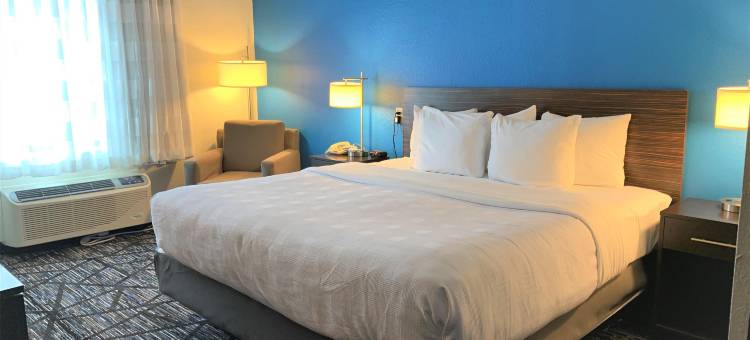 斯利普套房酒店(SureStay by Best Western Cambridge)图片