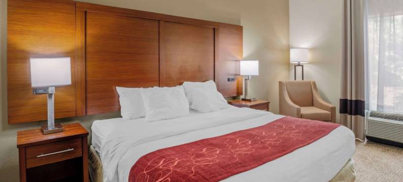 舒适套房酒店-维吉尼亚购物中心(Comfort Suites at Virginia Center Commons)图片