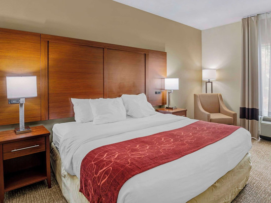 舒适套房酒店-维吉尼亚购物中心