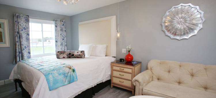 蜻蜓客栈和套房(Dragonfly Inn & Suites)图片