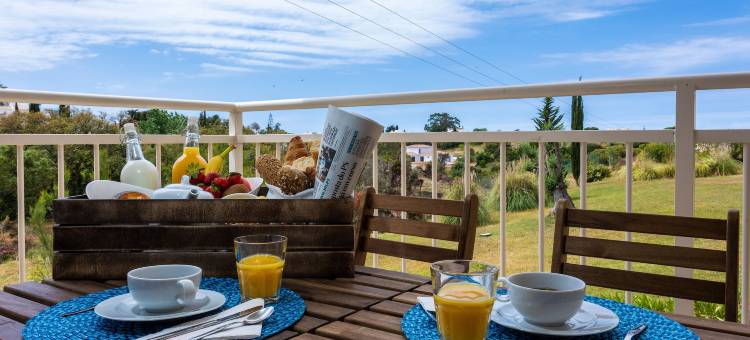 普拉希德村庄酒店(Placid Village)图片