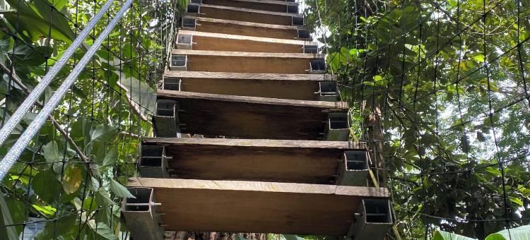 绿色丛林屋(Hotel Boutique the Green Jungle House)图片