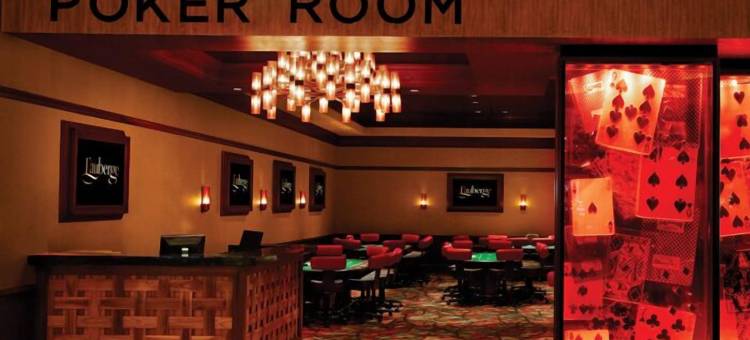 巴吞鲁日奥博格酒店(L'Auberge Baton Rouge)图片