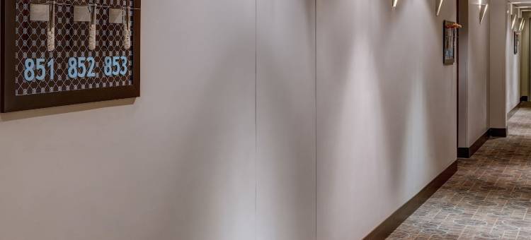 波哥大公园93号希尔顿逸林酒店(DoubleTree by Hilton Bogota Parque 93)图片