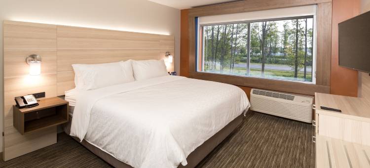 智选假日套房酒店湾城(Holiday Inn Express & Suites Bay City)图片