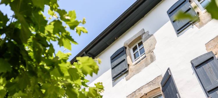 阿尔拉亚酒店(Arraya)图片