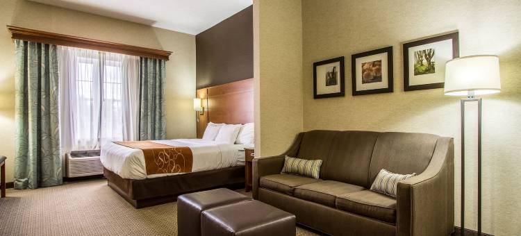 会议中心及舒适套房酒店(Comfort Suites Hotel and Conference Center)图片