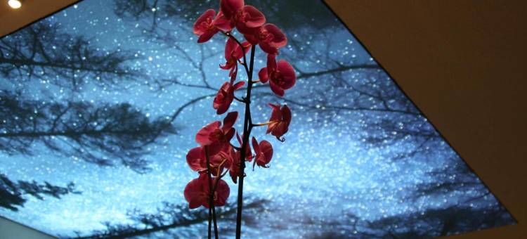 贝尔地平线酒店(Hotel Bel Horizon)图片