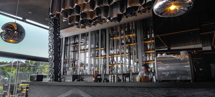 Voco皇家普埃布拉市中心酒店(voco Royalty Puebla Downtown)图片