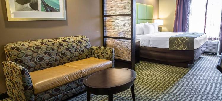 Comfort Suites New Bern Near Cherry Point图片