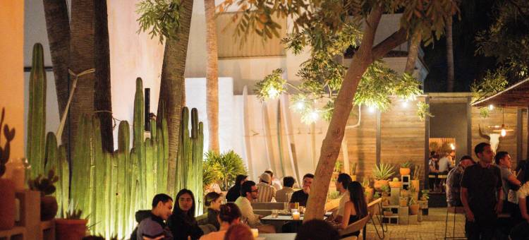 Drift San Jose del Cabo, a Member of Design Hotels图片