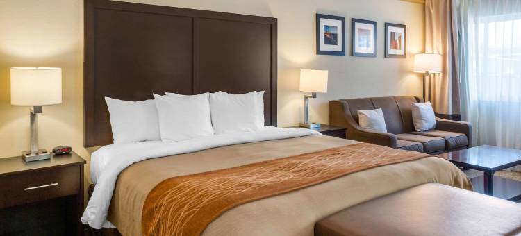 卡斯特罗谷舒适酒店(Comfort Inn Castro Valley)图片