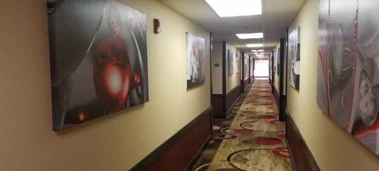 威奇托北温德姆速8酒店(Super 8 by Wyndham Wichita North)图片