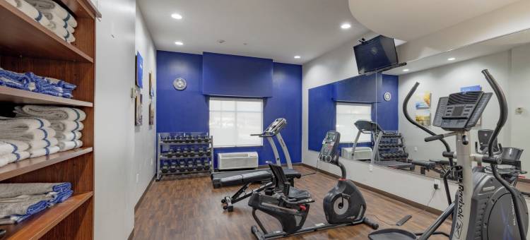 舒适套房酒店-佩里斯堡托莱多南(Comfort Suites Perrysburg - Toledo South)图片