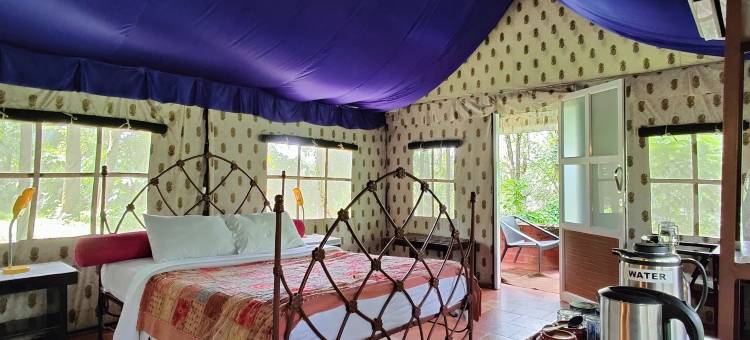 格拉斯鲁特斯韦扬纳德，山谷观景帐篷(Grassroots Wayanad, Valley-View Tents)图片