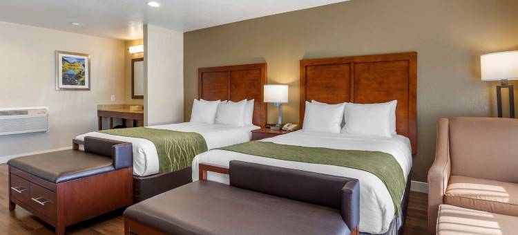 毕晓普舒适酒店(Comfort Inn Bishop)图片